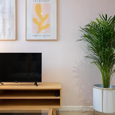 Renovated In Semi-basement & Hypercentre Apartment Lille
